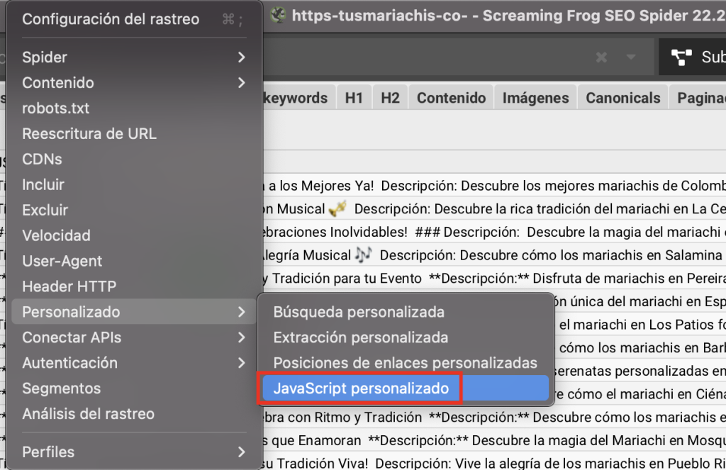 JS personalizado en Screaming Frog