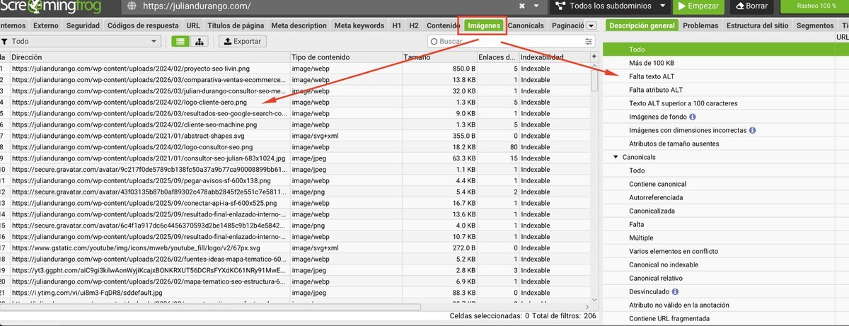 Análisis de imágenes y atributos alt en Screaming Frog